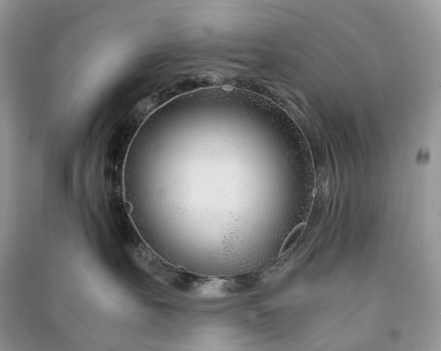 X0000090920527200708131436