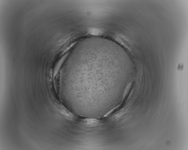 X0000090920528200708131436