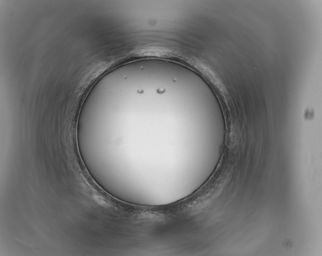 X0000090920529200708131435