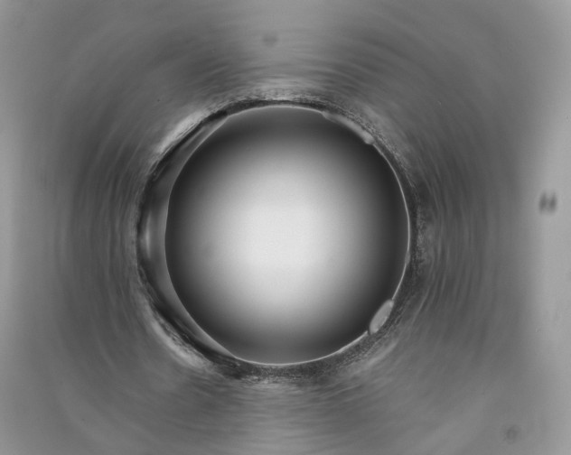 X0000090920530200708131435