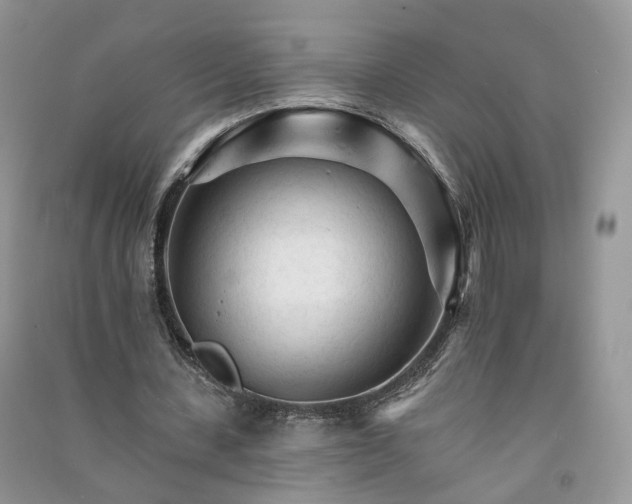 X0000090920531200708131435