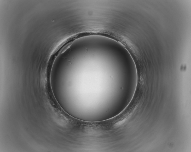 X0000090920532200708131435