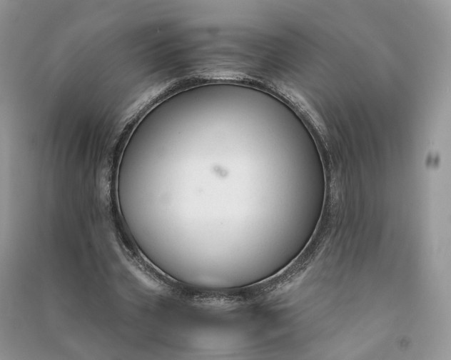 X0000090920533200708131435