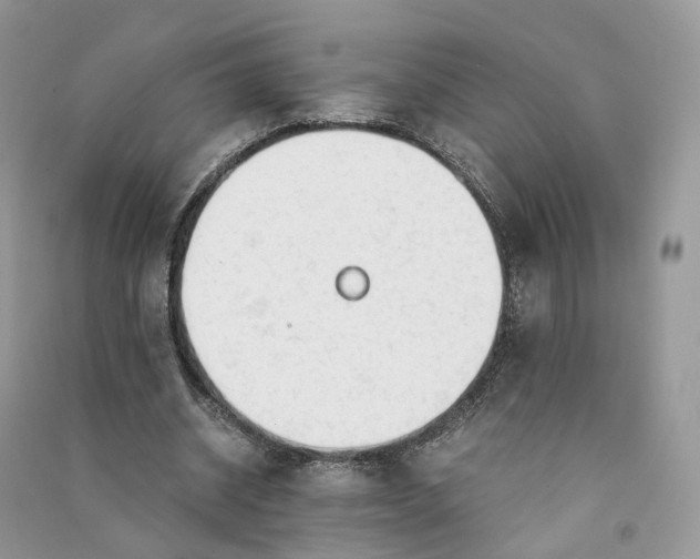 X0000090920534200708131435