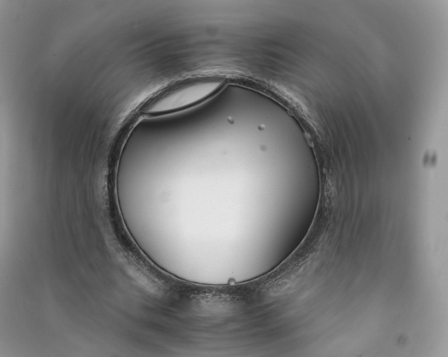 X0000090920535200708131435