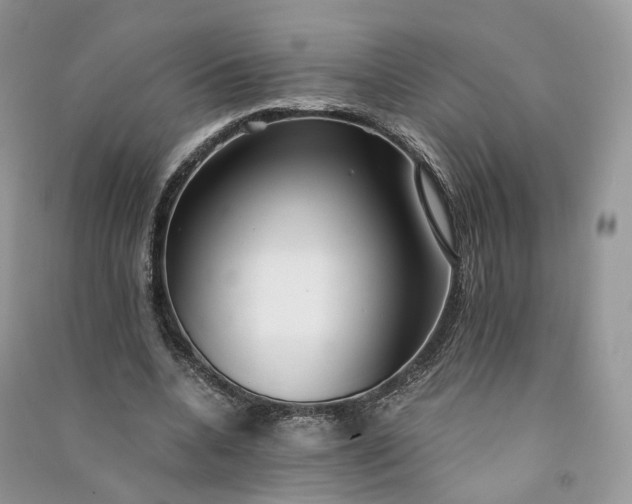 X0000090920536200708131435