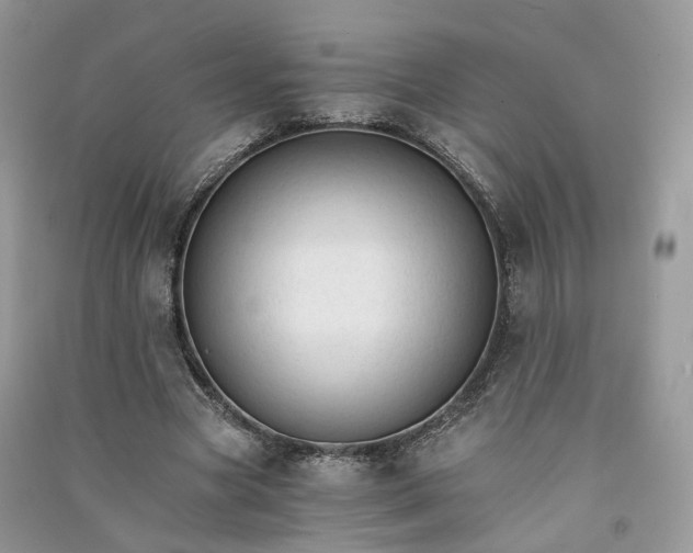 X0000090920537200708131435