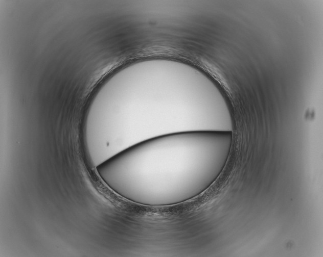 X0000090920538200708131435