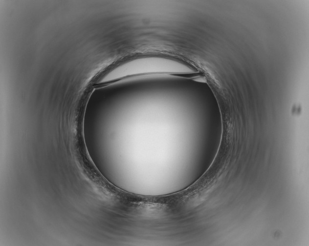 X0000090920539200708131435