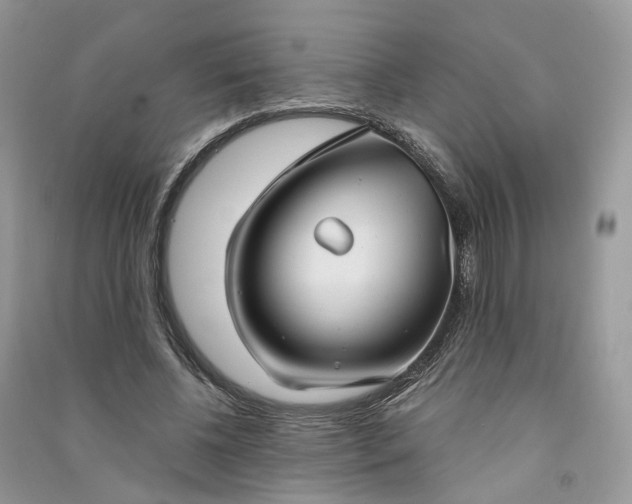 X0000090920540200708131435