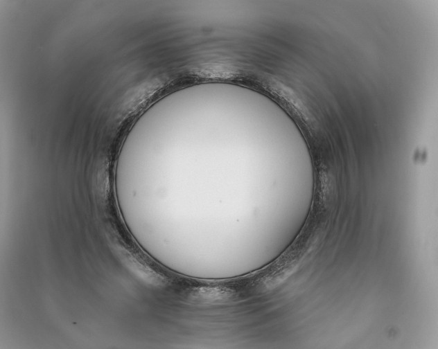 X0000090920541200708131435