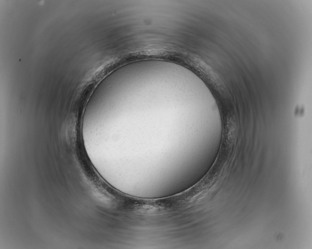 X0000090920542200708131435