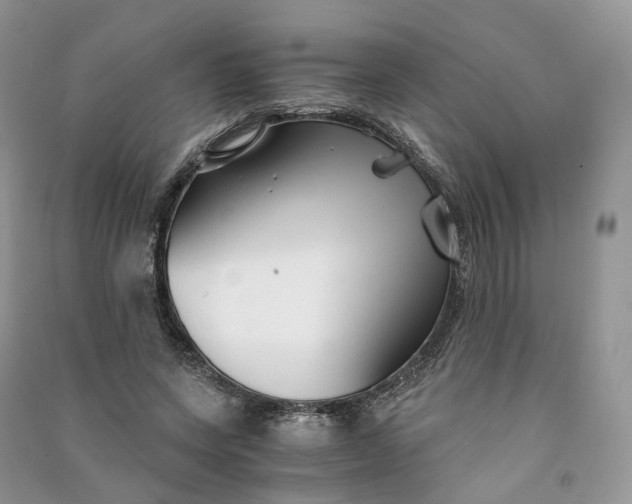 X0000090920543200708131435