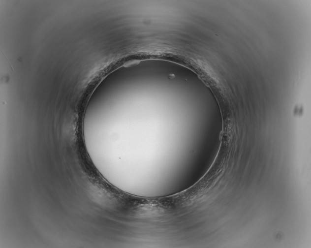 X0000090920544200708131435