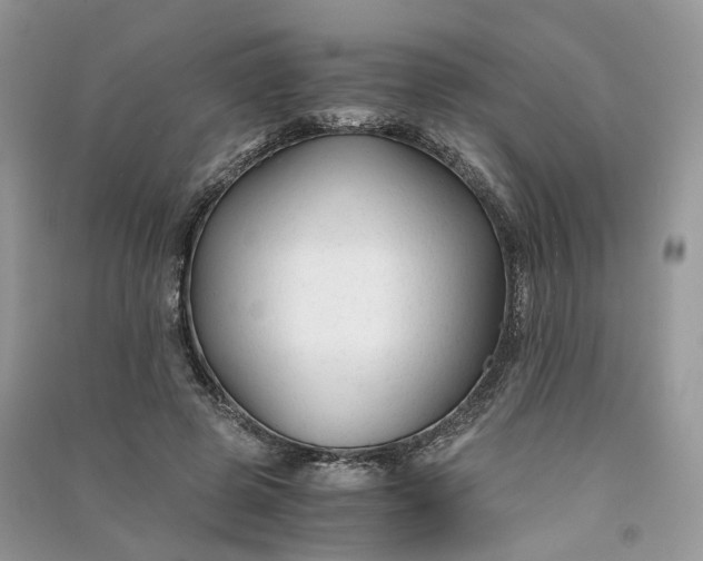 X0000090920545200708131435