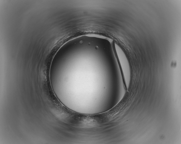 X0000090920547200708131435