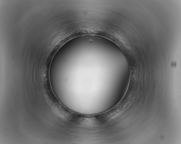 X0000090920548200708131435