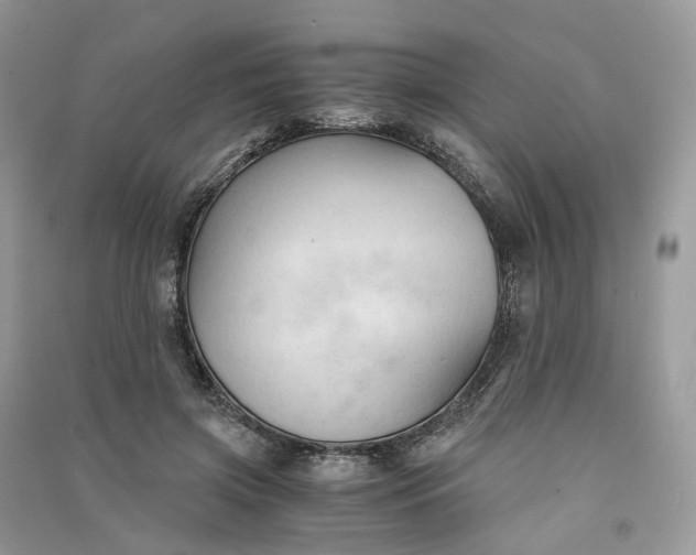 X0000090920549200708131435