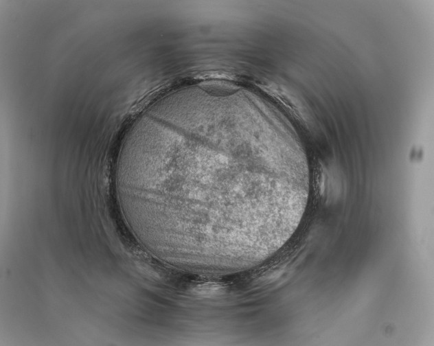 X0000090920551200708131435