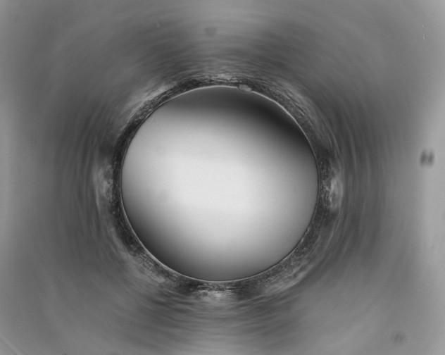 X0000090920552200708131435