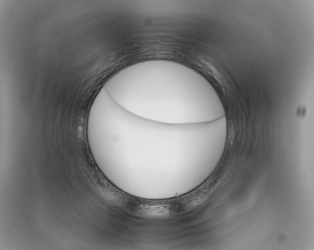 X0000090920553200708131435