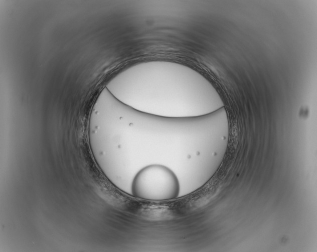 X0000090920554200708131435