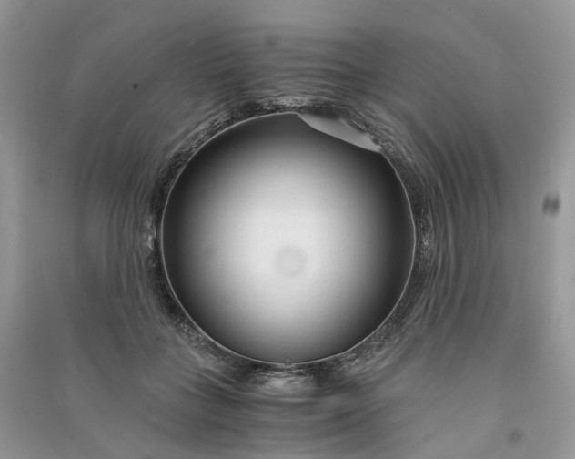 X0000090920555200708131435