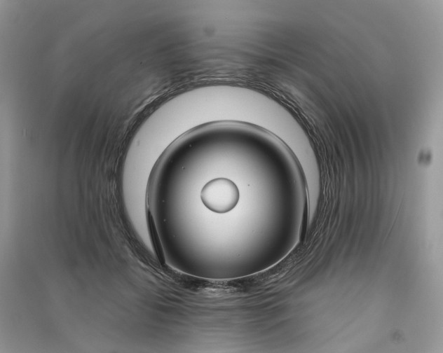 X0000090920556200708131435