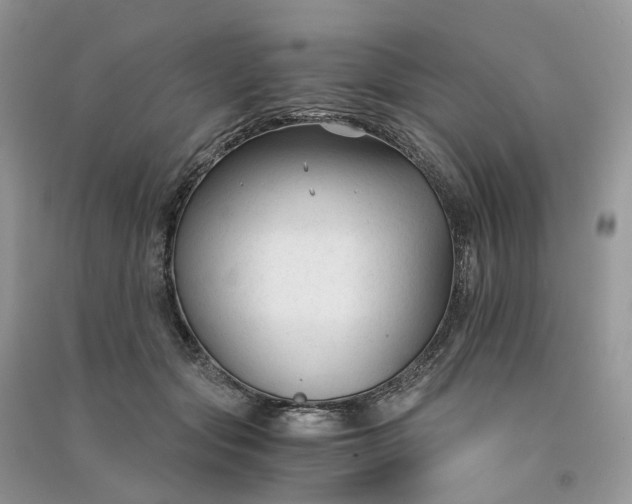 X0000090920557200708131435