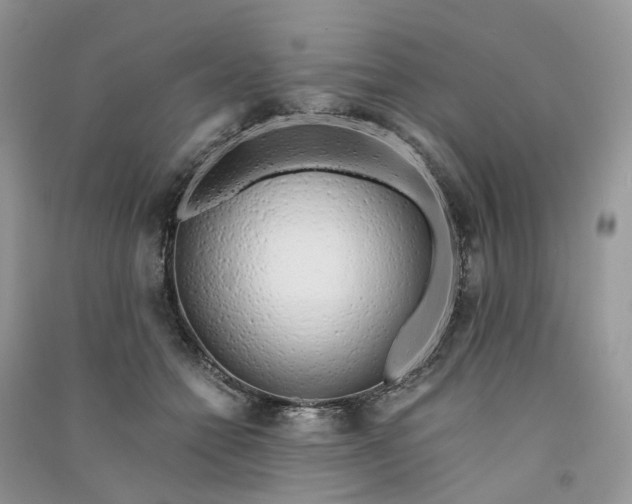 X0000090920558200708131435