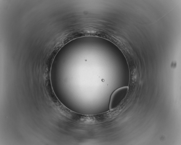 X0000090920559200708131435