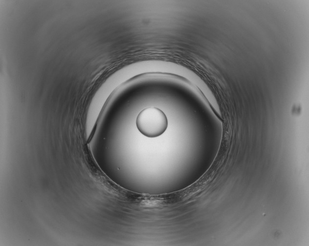 X0000090920560200708131435