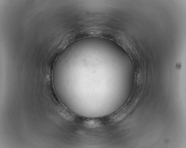 X0000090920561200708131435