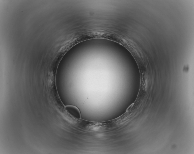 X0000090920563200708131435