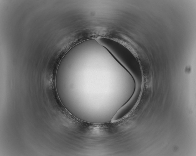 X0000090920564200708131435