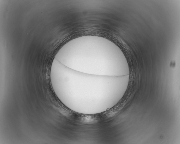 X0000090920565200708131435