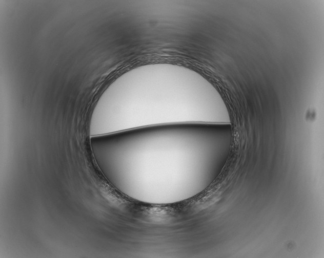 X0000090920566200708131435