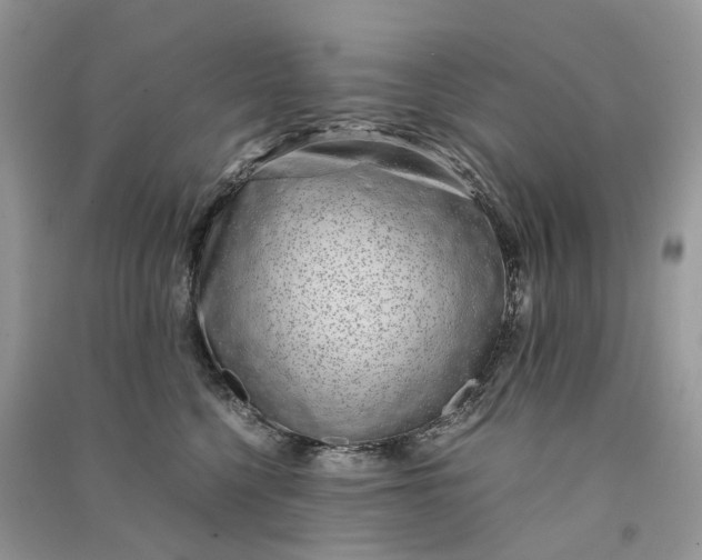 X0000090920568200708131435