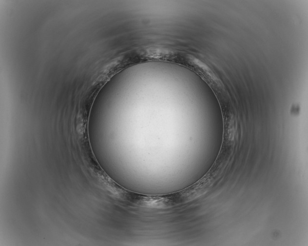 X0000090920569200708131435