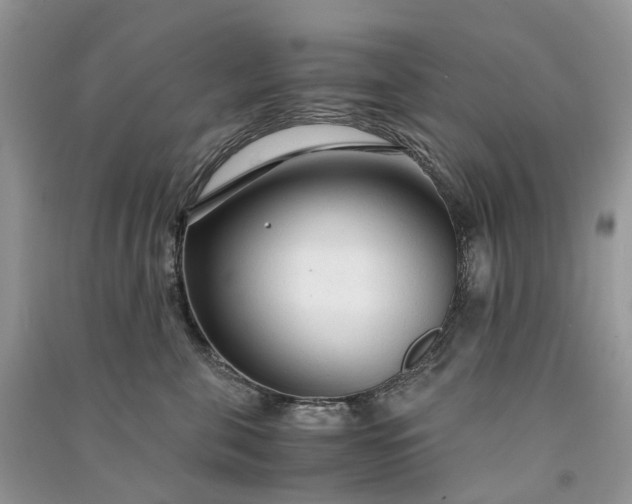 X0000090920571200708131435