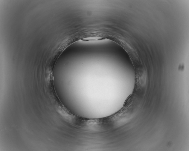 X0000090920574200708131436