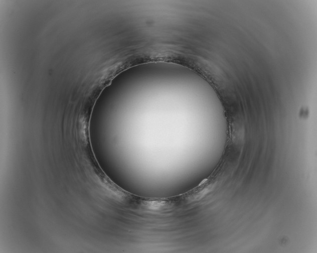 X0000090920575200708131436