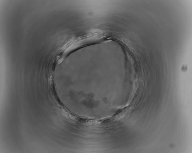 X0000090920576200708131436