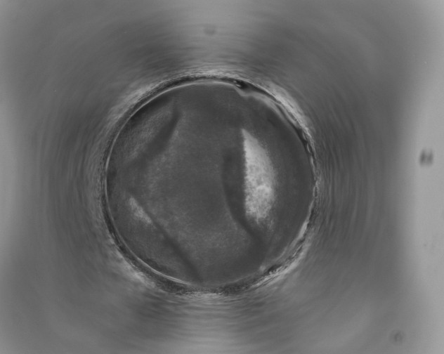 X0000090920577200708131435