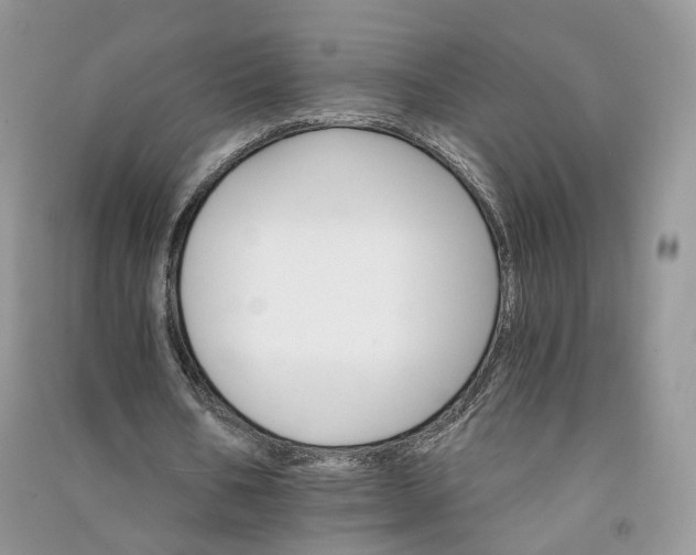 X0000090920578200708131435