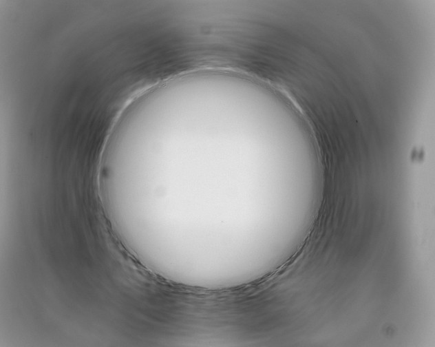 X0000090920579200708131435