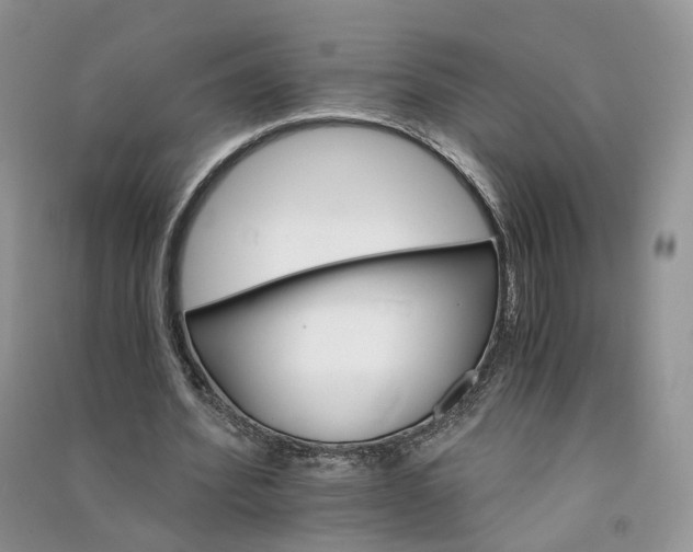 X0000090920580200708131435