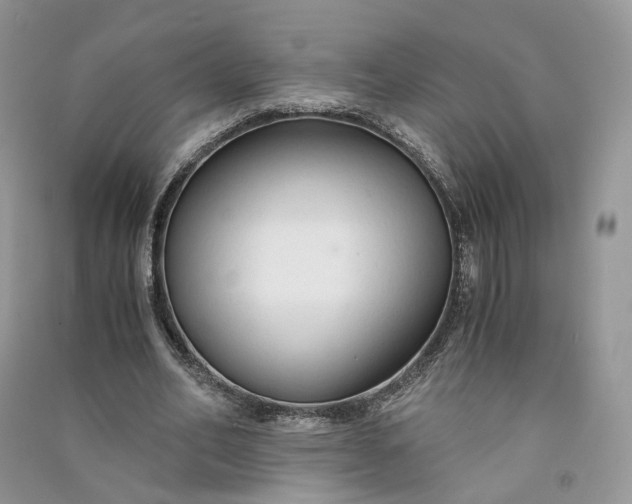 X0000090920582200708131435