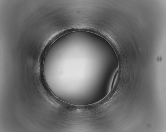 X0000090920584200708131435