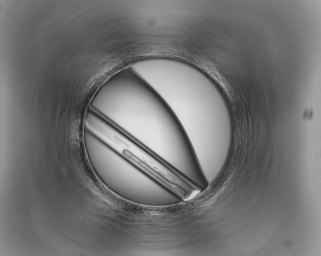 X0000090920585200708131435